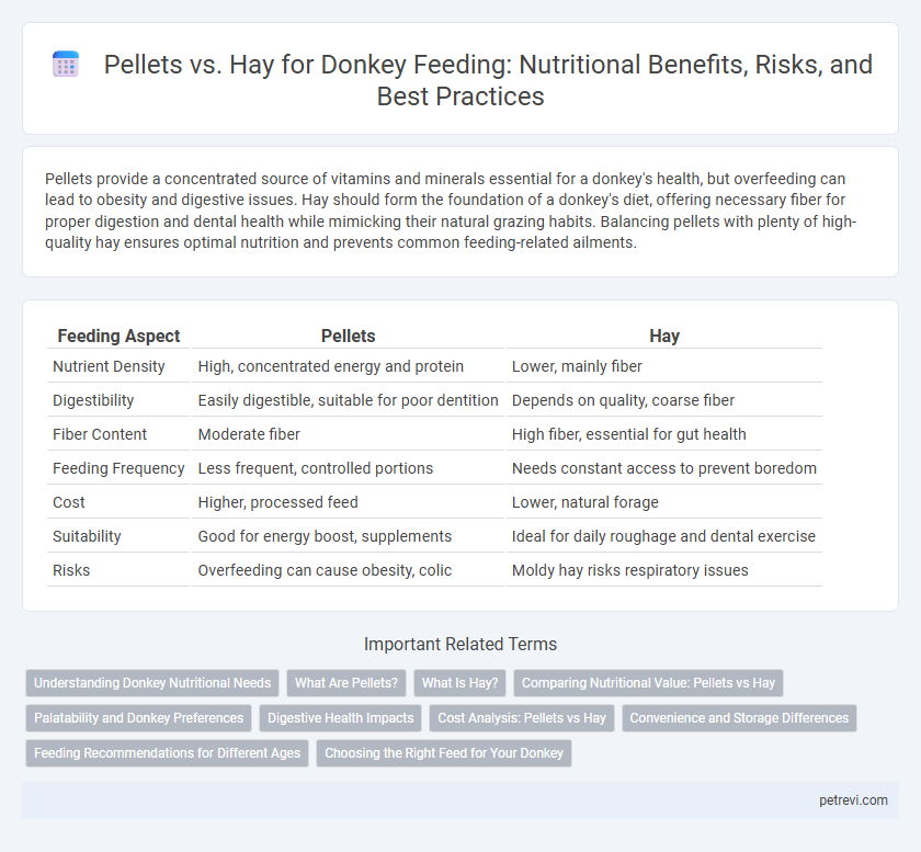 Pellets vs. Hay for Donkey Feeding: Nutritional Benefits, Risks, and Best Practices