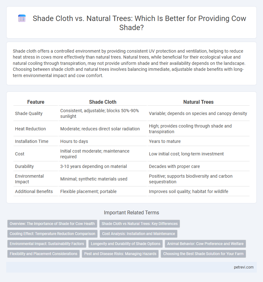 Shade Cloth vs. Natural Trees: Which Is Better for Providing Cow Shade?