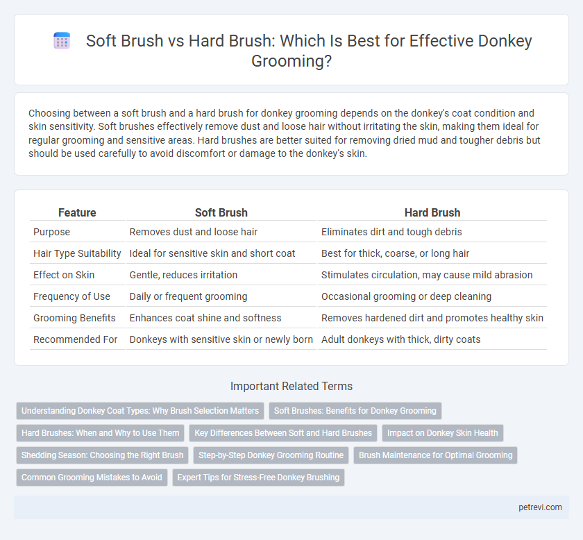Soft Brush vs Hard Brush: Which Is Best for Effective Donkey Grooming?