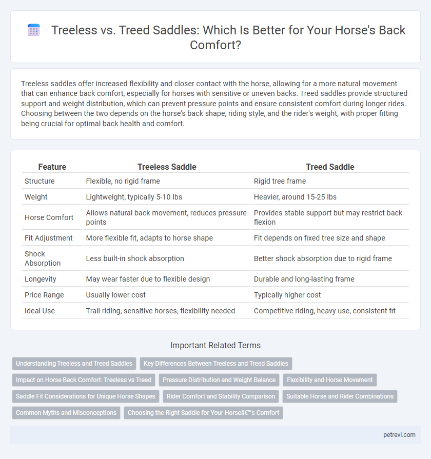 Treeless vs. Treed Saddles: Which Is Better for Your Horse's Back Comfort?