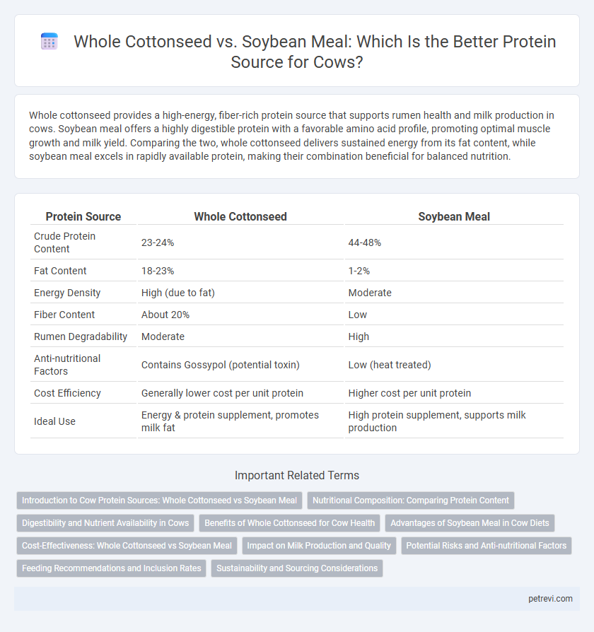 Whole Cottonseed vs. Soybean Meal: Which Is the Better Protein Source for Cows?