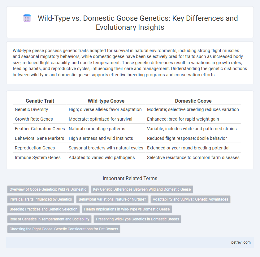 Wild-Type vs. Domestic Goose Genetics: Key Differences and Evolutionary Insights