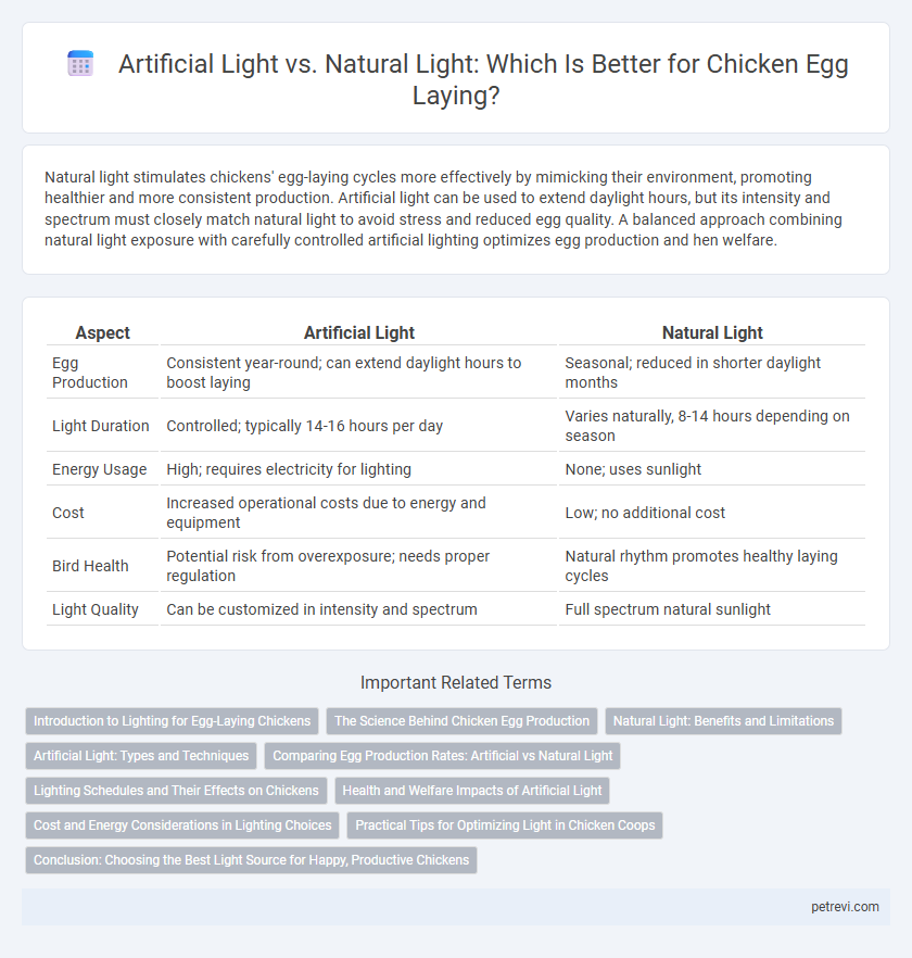 Artificial Light vs. Natural Light: Which Is Better for Chicken Egg Laying?