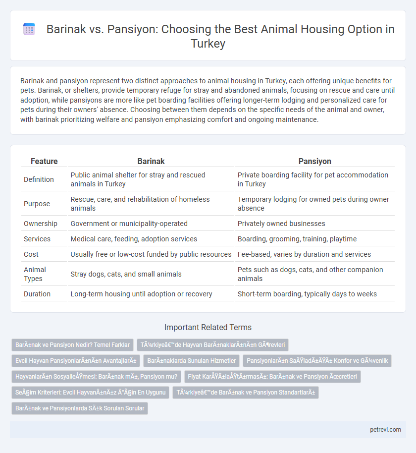 Barinak vs. Pansiyon: Choosing the Best Animal Housing Option in Turkey
