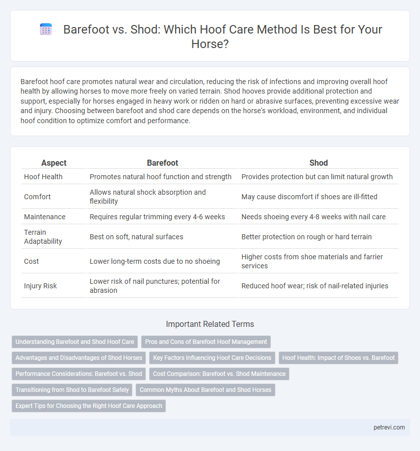 Barefoot vs. Shod: Which Hoof Care Method Is Best for Your Horse?