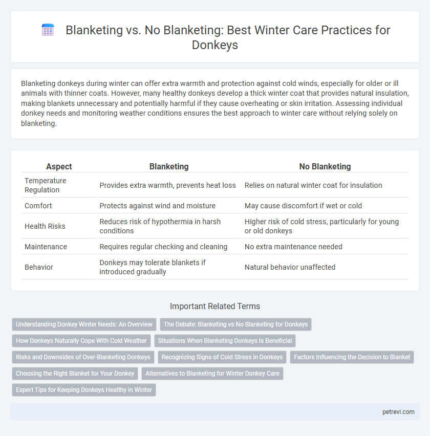 Blanketing vs. No Blanketing: Best Winter Care Practices for Donkeys