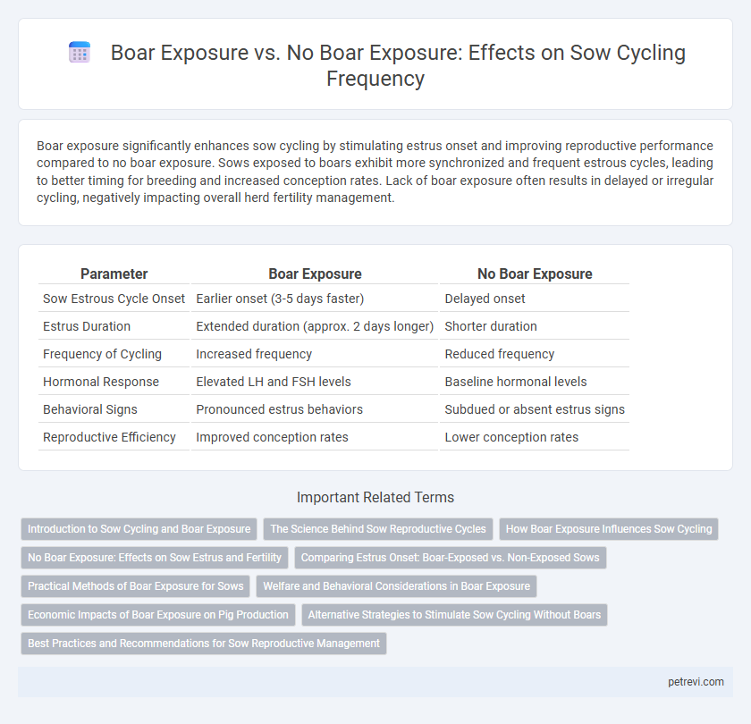 Boar Exposure vs. No Boar Exposure: Effects on Sow Cycling Frequency