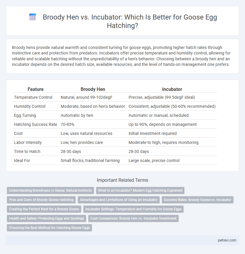 Broody Hen vs. Incubator: Which Is Better for Goose Egg Hatching?