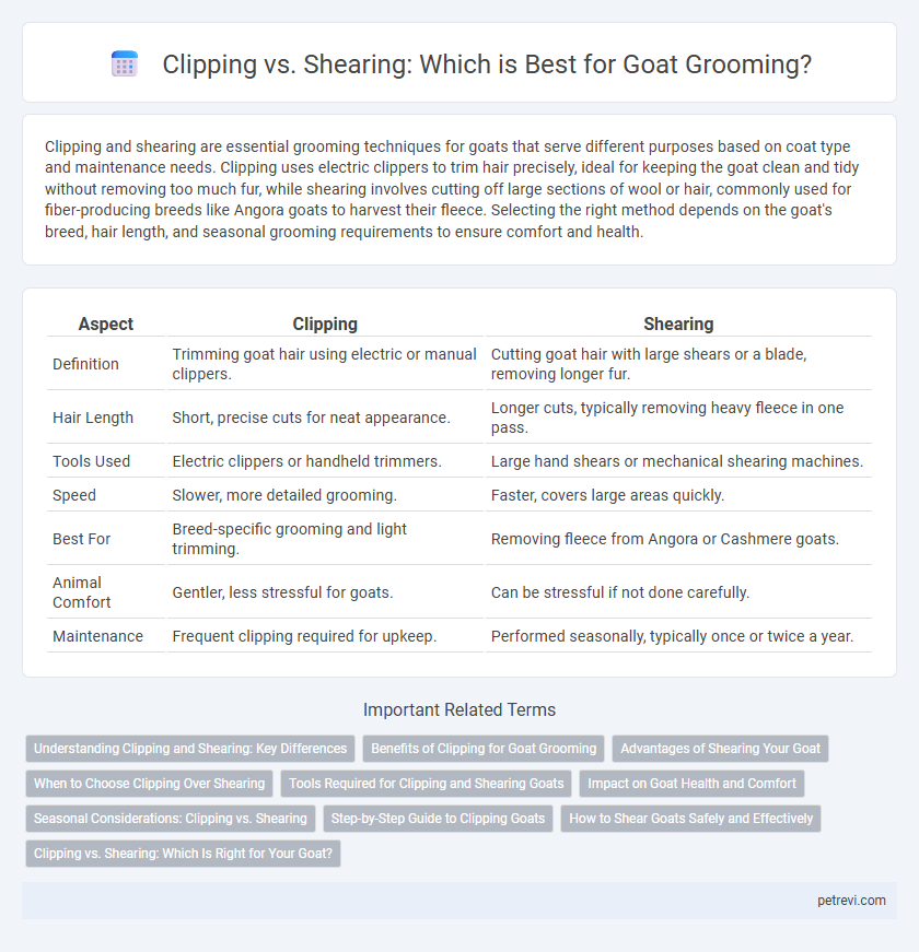Clipping vs. Shearing: Which is Best for Goat Grooming?