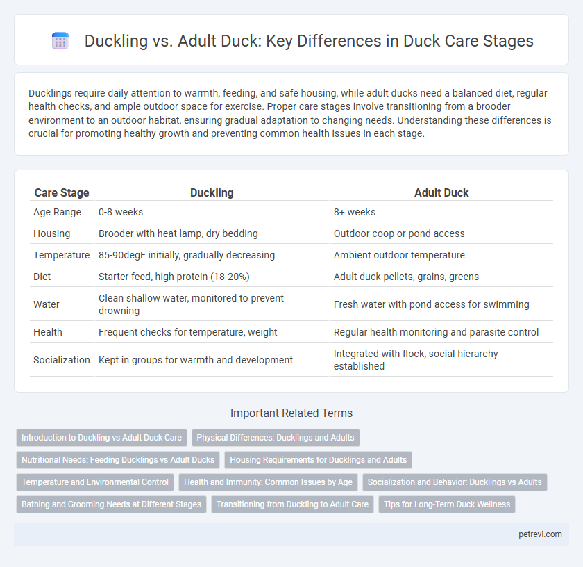Duckling vs. Adult Duck: Key Differences in Duck Care Stages
