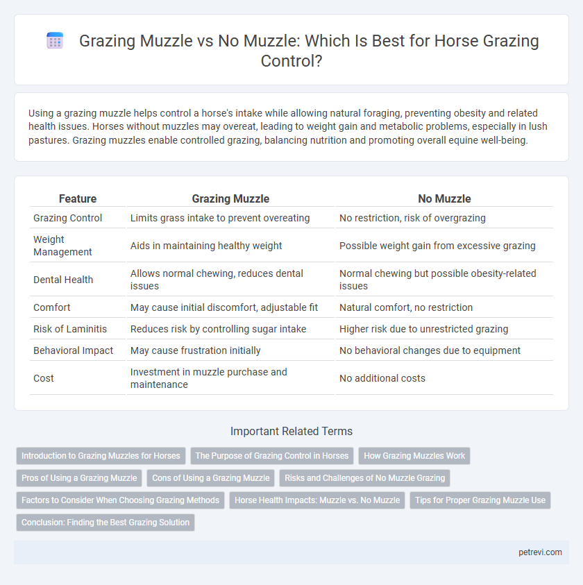 Grazing Muzzle vs No Muzzle: Which Is Best for Horse Grazing Control?