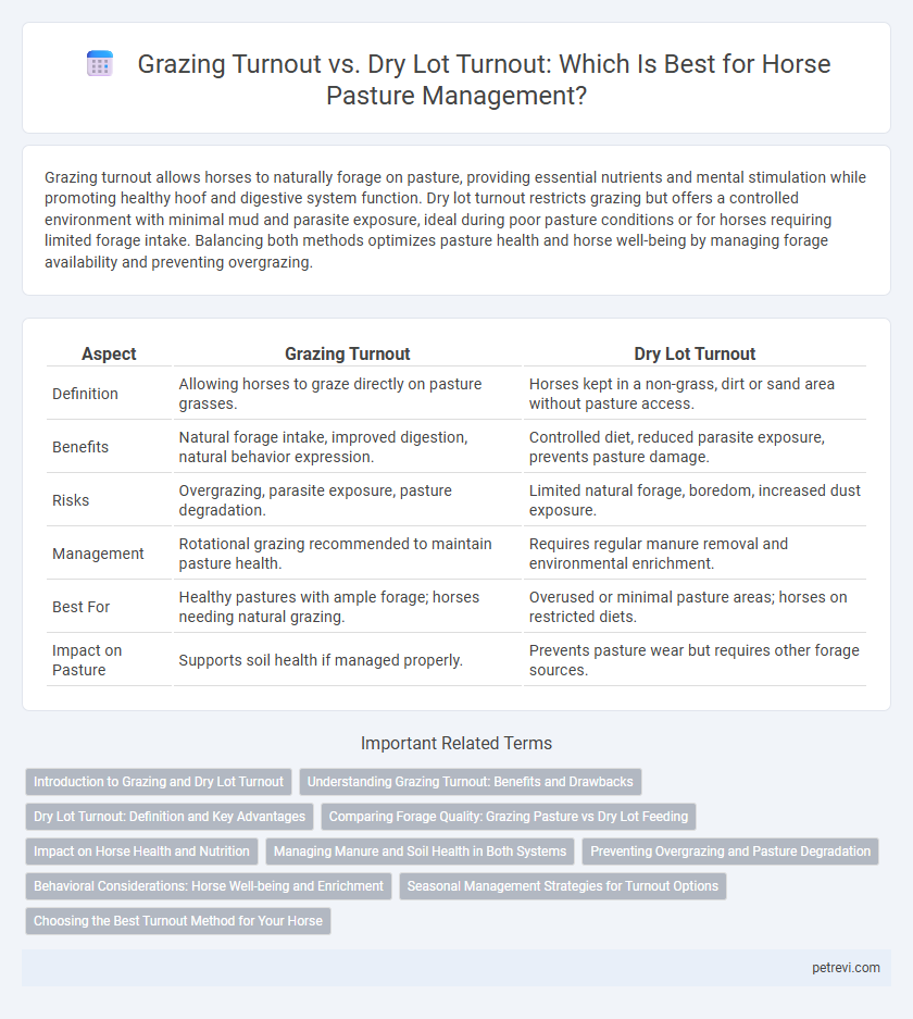 Grazing Turnout vs. Dry Lot Turnout: Which Is Best for Horse Pasture Management?
