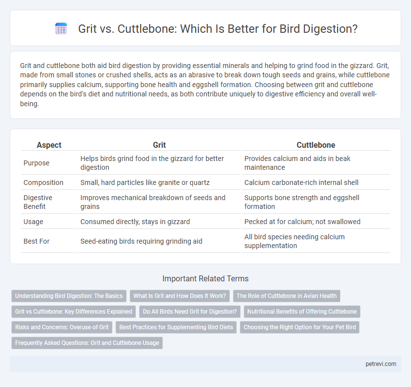 Grit vs. Cuttlebone: Which Is Better for Bird Digestion?