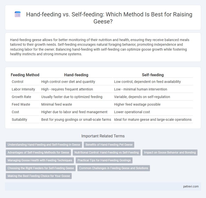 Hand-feeding vs. Self-feeding: Which Method Is Best for Raising Geese?