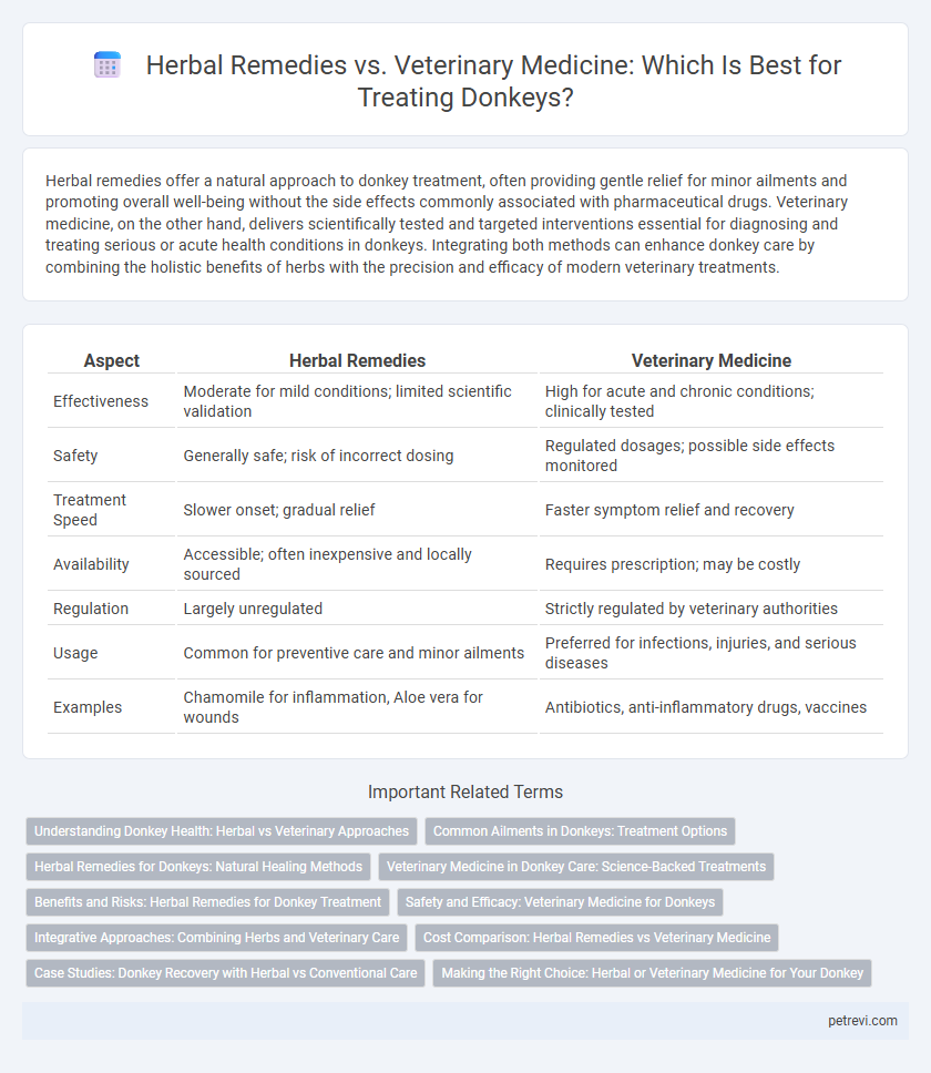 Herbal Remedies vs. Veterinary Medicine: Which Is Best for Treating Donkeys?