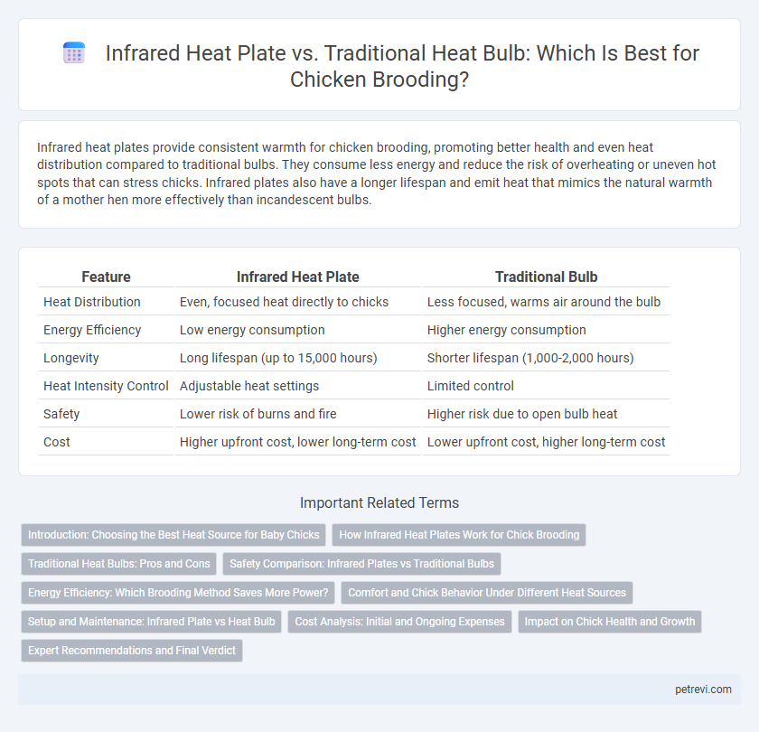 Infrared Heat Plate vs. Traditional Heat Bulb: Which Is Best for Chicken Brooding?