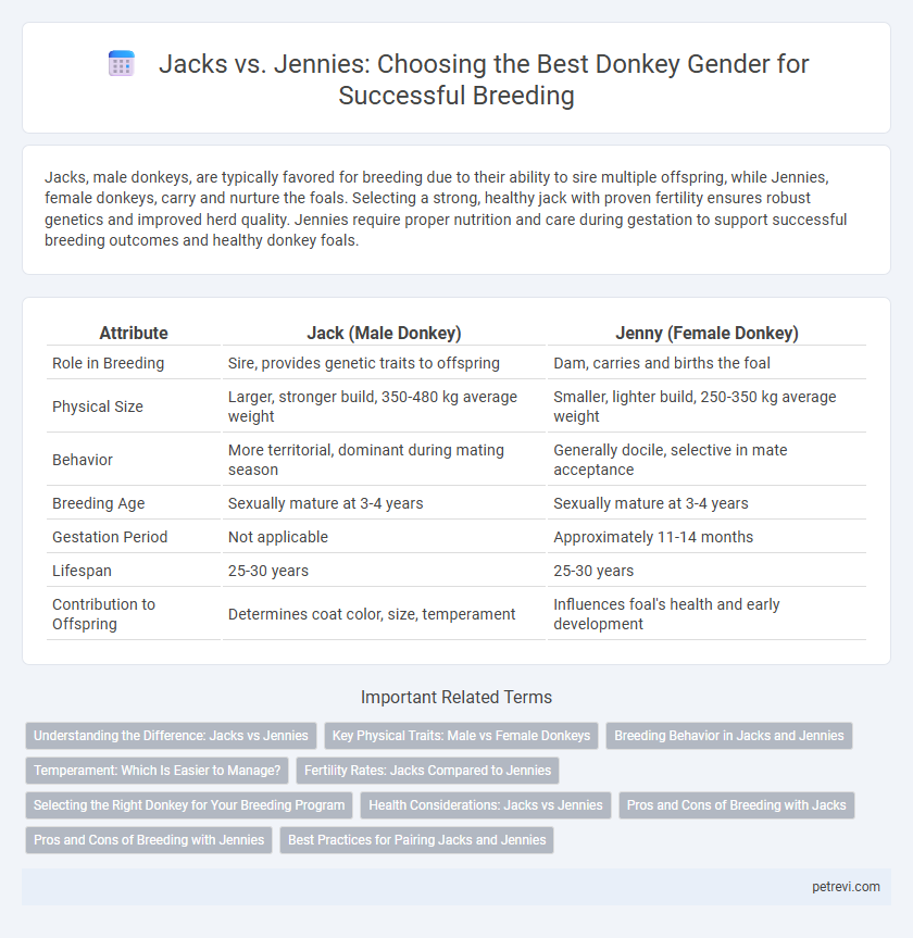 Jacks vs. Jennies: Choosing the Best Donkey Gender for Successful Breeding