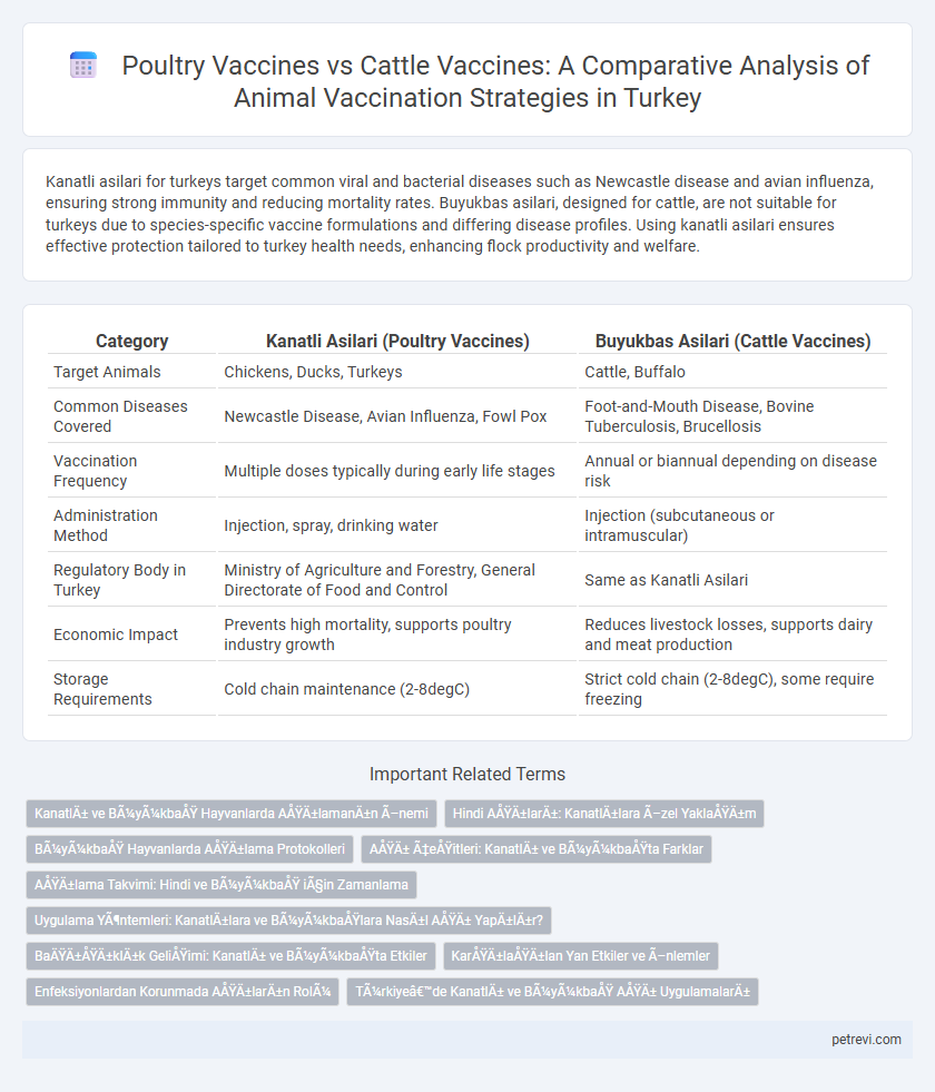 Poultry Vaccines vs Cattle Vaccines: A Comparative Analysis of Animal Vaccination Strategies in Turkey