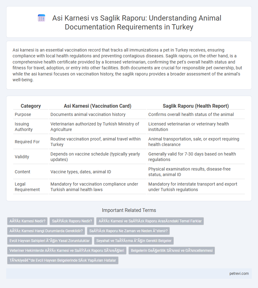 Asi Karnesi vs Saglik Raporu: Understanding Animal Documentation Requirements in Turkey