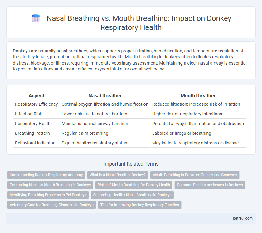 Nasal Breathing vs. Mouth Breathing: Impact on Donkey Respiratory Health
