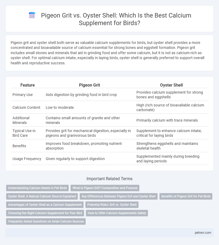 Pigeon Grit vs. Oyster Shell: Which Is the Best Calcium Supplement for Birds?