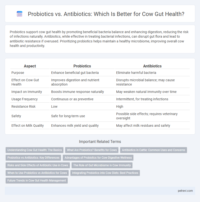 Probiotics vs. Antibiotics: Which Is Better for Cow Gut Health?
