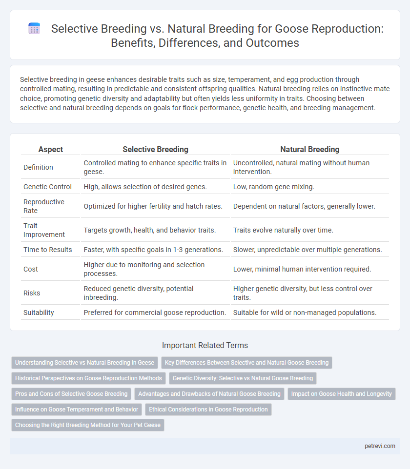 Selective Breeding vs. Natural Breeding for Goose Reproduction: Benefits, Differences, and Outcomes