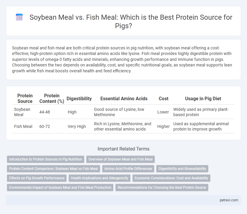 Soybean Meal vs. Fish Meal: Which is the Best Protein Source for Pigs?