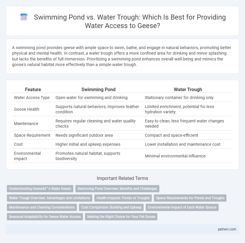 Swimming Pond vs. Water Trough: Which Is Best for Providing Water Access to Geese?
