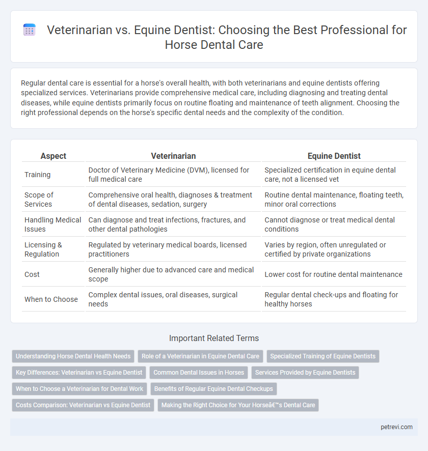 Veterinarian vs. Equine Dentist: Choosing the Best Professional for Horse Dental Care