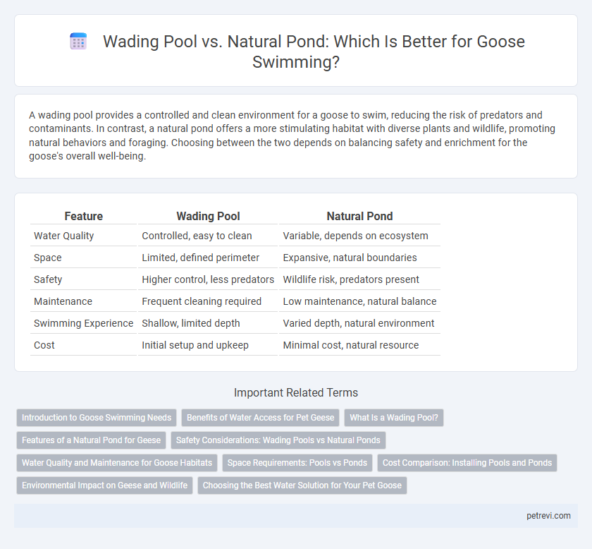 Wading Pool vs. Natural Pond: Which Is Better for Goose Swimming?