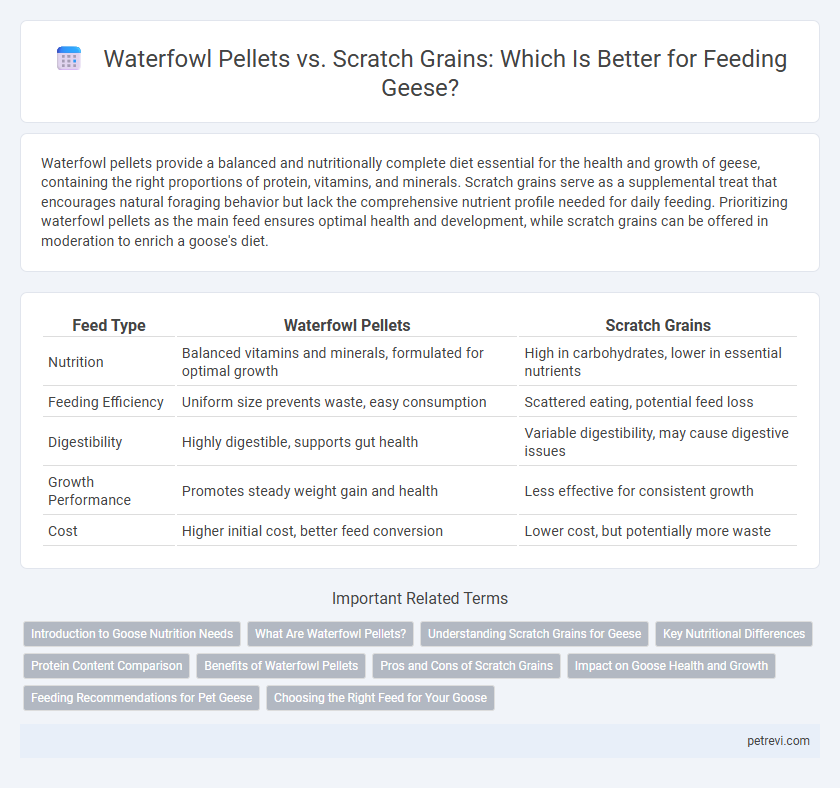 Waterfowl Pellets vs. Scratch Grains: Which Is Better for Feeding Geese?