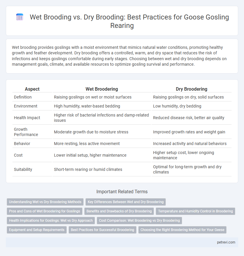 Wet Brooding vs. Dry Brooding: Best Practices for Goose Gosling Rearing