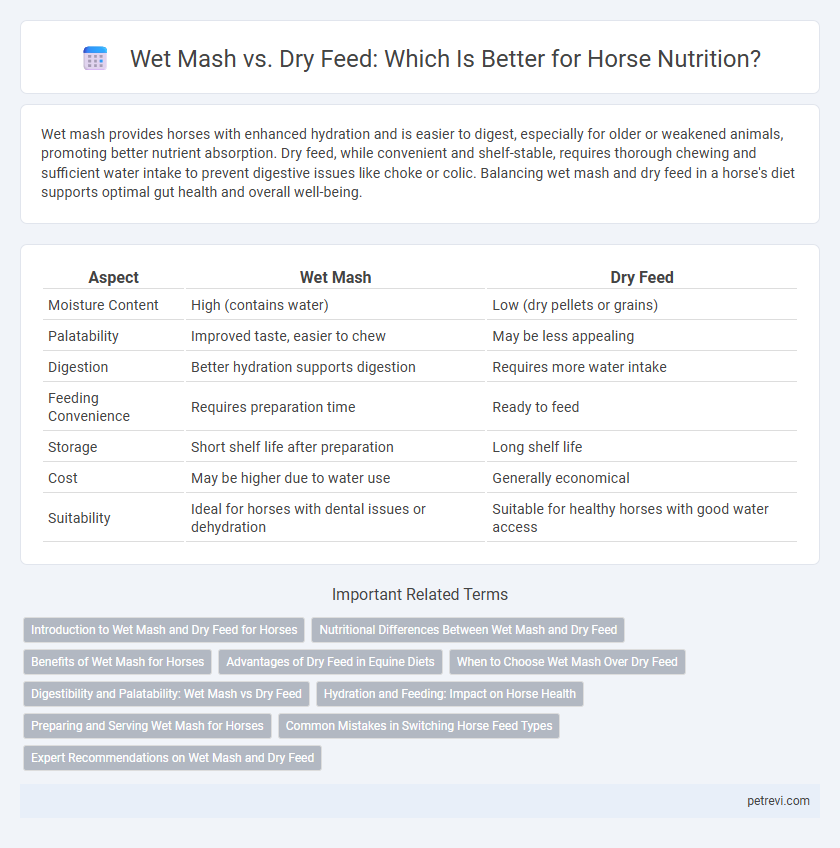 Wet Mash vs. Dry Feed: Which Is Better for Horse Nutrition?