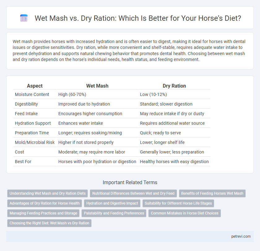 Wet Mash vs. Dry Ration: Which Is Better for Your Horse's Diet?