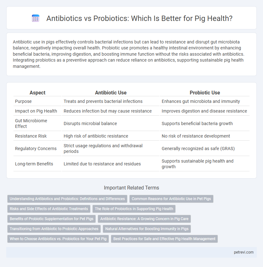 Antibiotics vs Probiotics: Which Is Better for Pig Health?