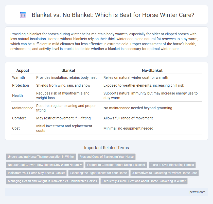 Blanket vs. No Blanket: Which is Best for Horse Winter Care?