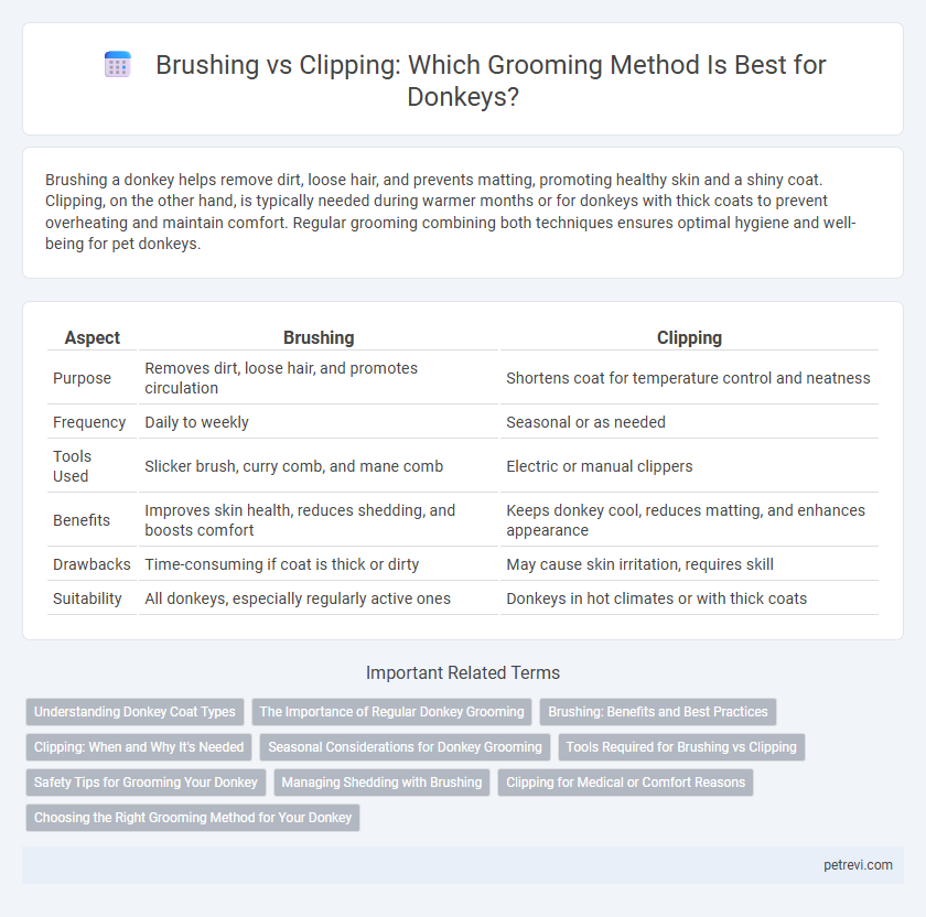 Brushing vs Clipping: Which Grooming Method Is Best for Donkeys?
