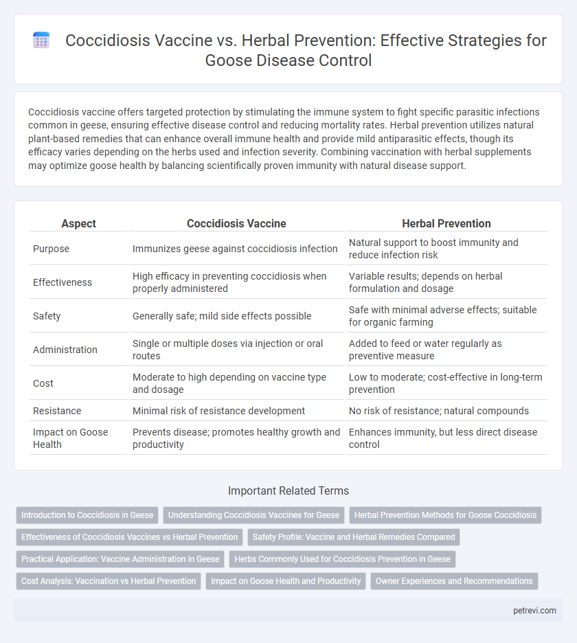 Coccidiosis Vaccine vs. Herbal Prevention: Effective Strategies for Goose Disease Control
