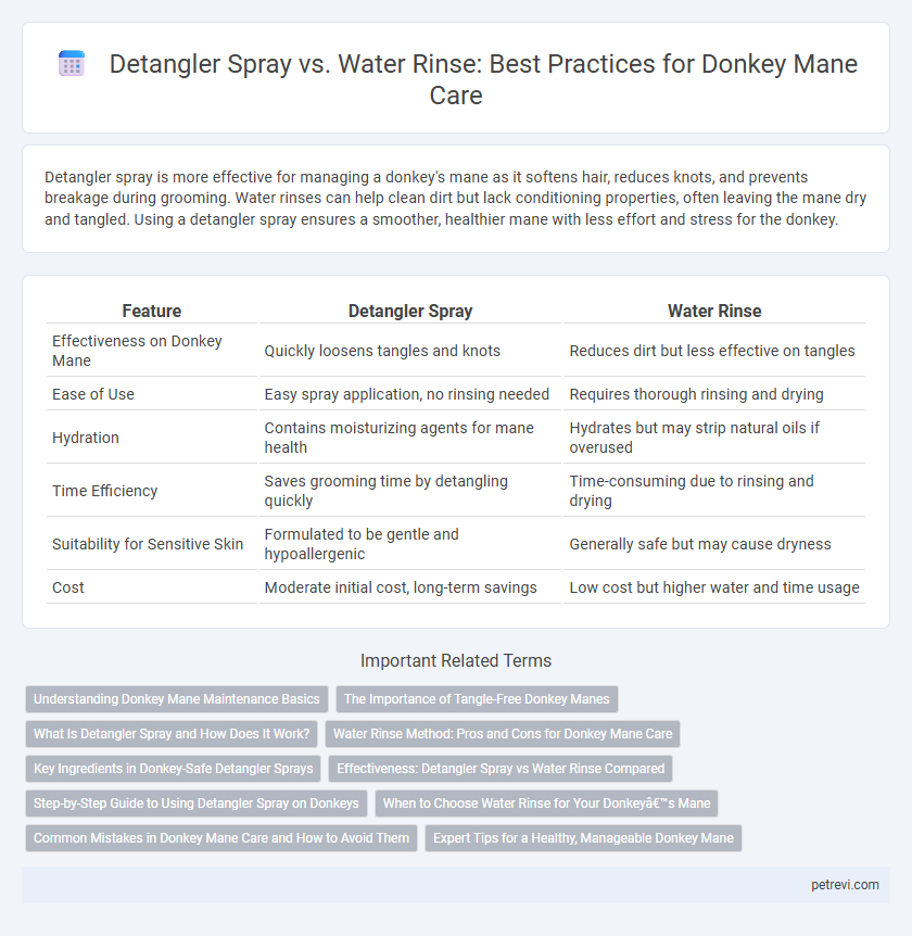 Detangler Spray vs. Water Rinse: Best Practices for Donkey Mane Care