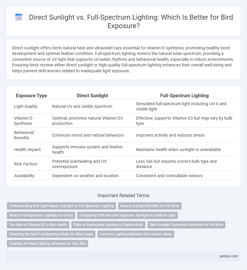 Direct Sunlight vs. Full-Spectrum Lighting: Which Is Better for Bird Exposure?