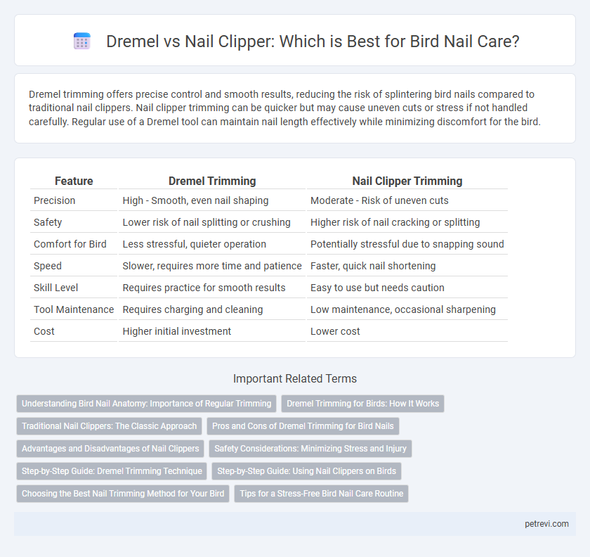 Dremel vs Nail Clipper: Which is Best for Bird Nail Care?