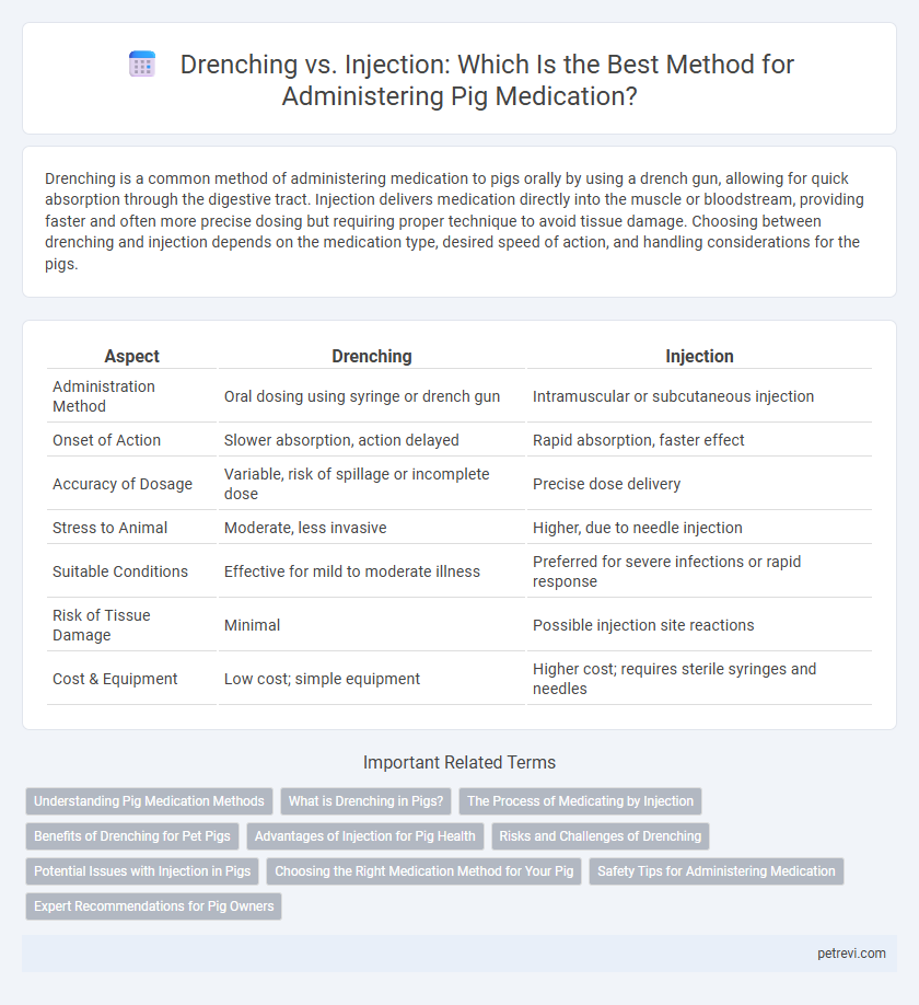 Drenching vs. Injection: Which Is the Best Method for Administering Pig Medication?
