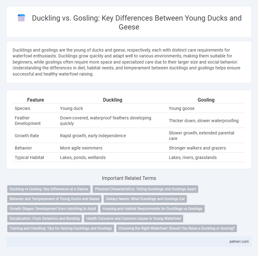 Duckling vs. Gosling: Key Differences Between Young Ducks and Geese