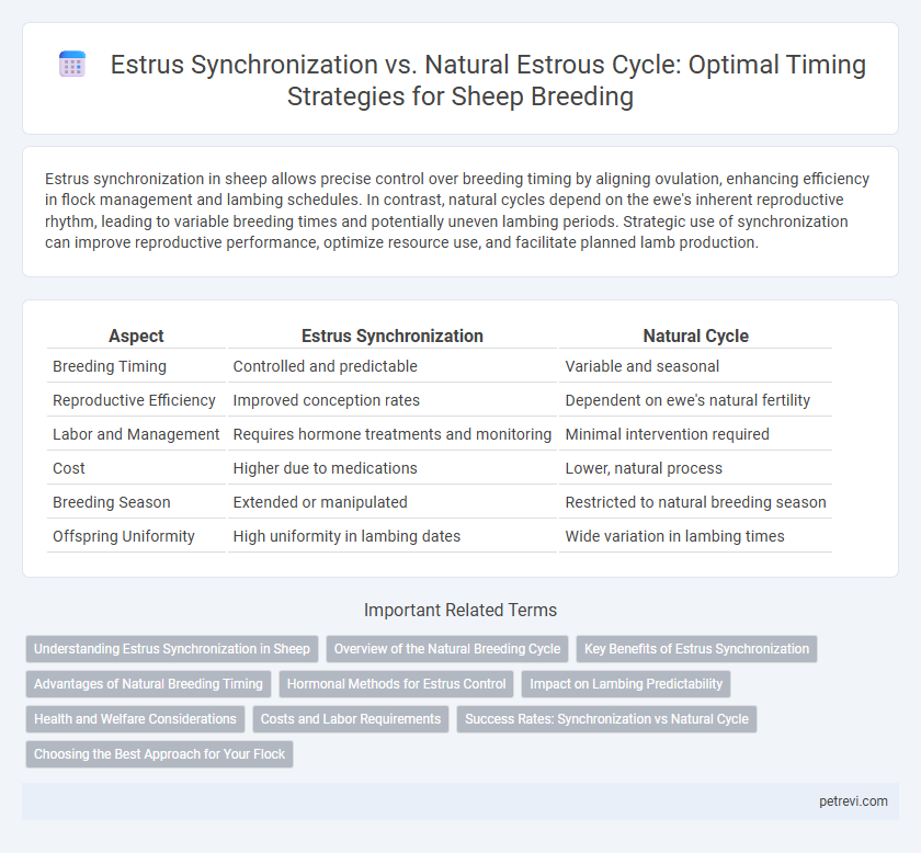 Estrus Synchronization vs. Natural Estrous Cycle: Optimal Timing Strategies for Sheep Breeding