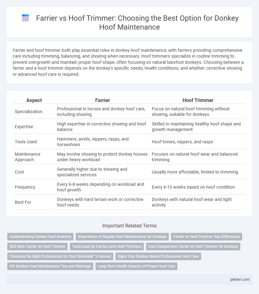 Farrier vs Hoof Trimmer: Choosing the Best Option for Donkey Hoof Maintenance