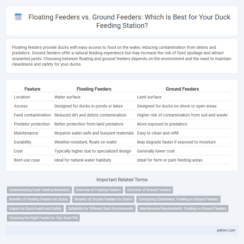 Floating Feeders vs. Ground Feeders: Which Is Best for Your Duck Feeding Station?