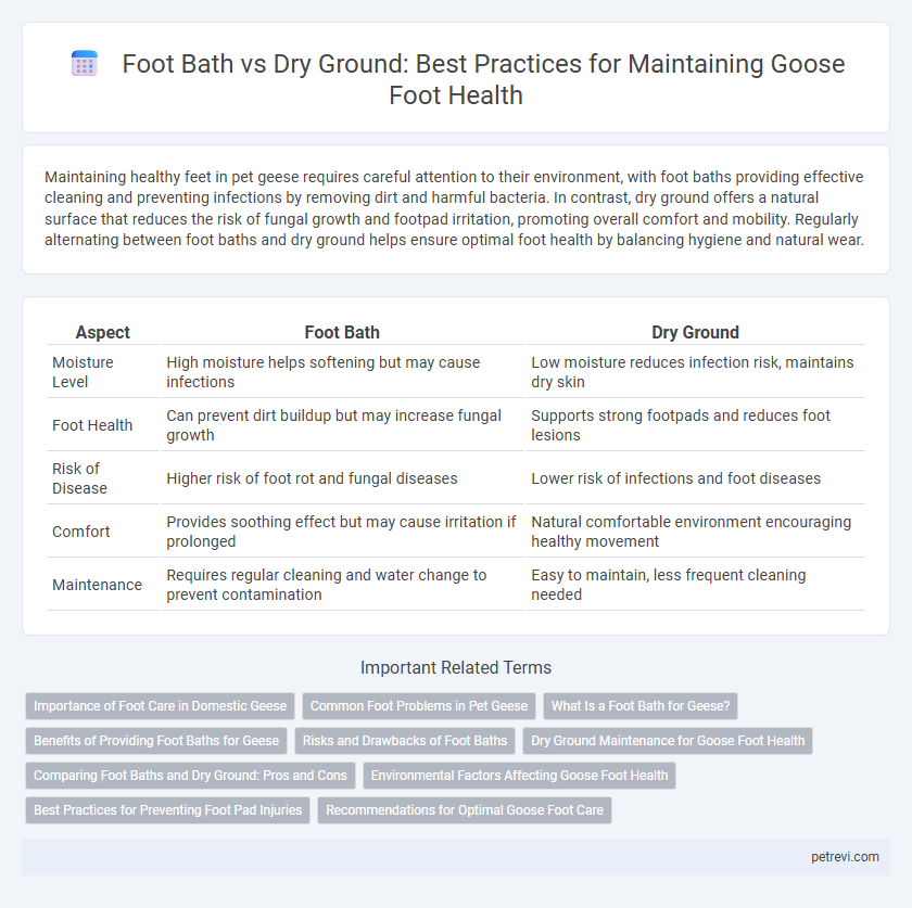 Foot Bath vs Dry Ground: Best Practices for Maintaining Goose Foot Health