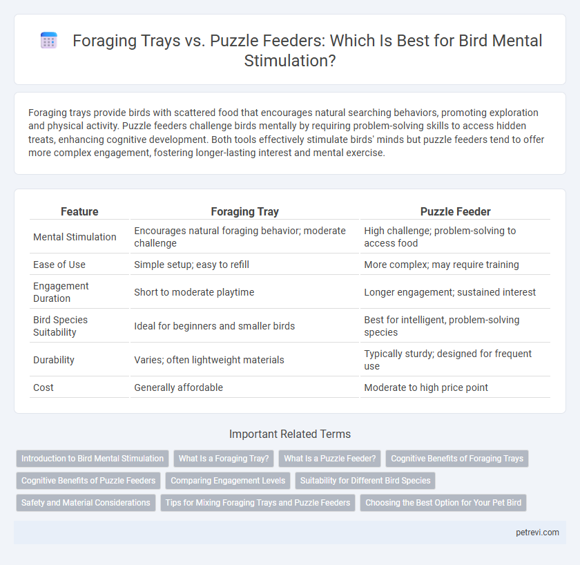 Foraging Trays vs. Puzzle Feeders: Which Is Best for Bird Mental Stimulation?