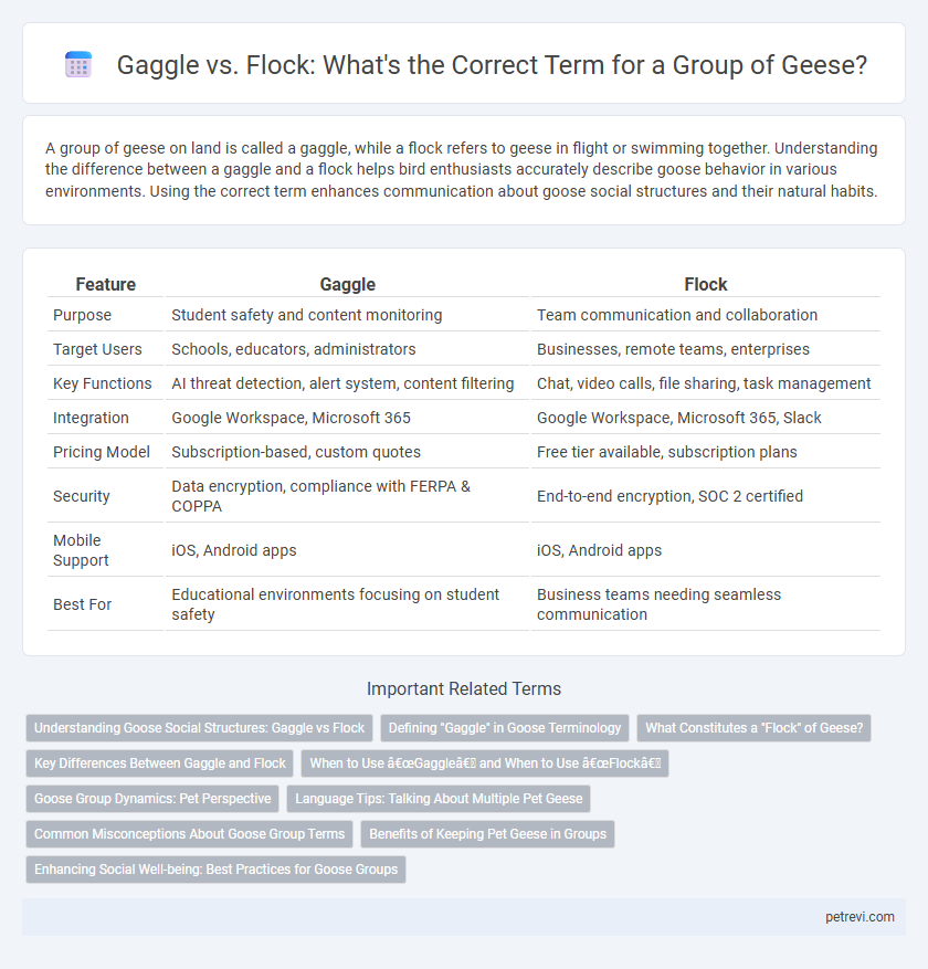 Gaggle vs. Flock: What's the Correct Term for a Group of Geese?